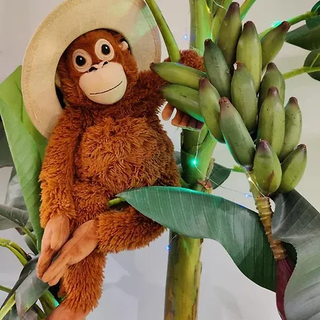 Wonder Paraiso Apartman *