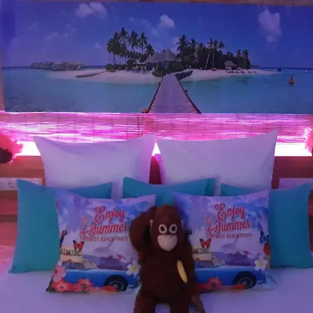 Wonder Paraiso