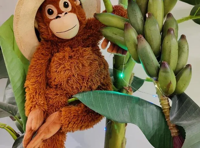 Wonder Place Apartman *